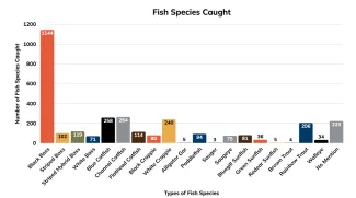 Varying fish species uploaded to The Dock