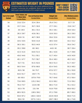 A table showing estimated paddlefish weights given various lengths for different bodies of water.
