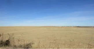 A photo of a large field with little habitat variation.