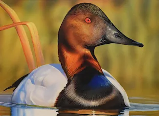 runner up garrett jacobs