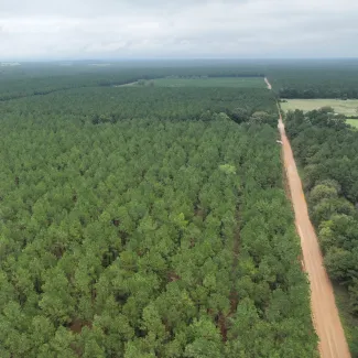 aerial view of herron