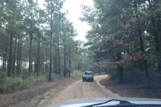 driving into herron wma