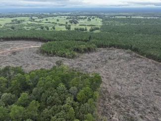 aerial view of herron family wma