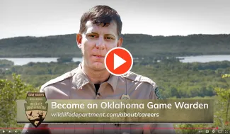 Click here to learn about game warden openings