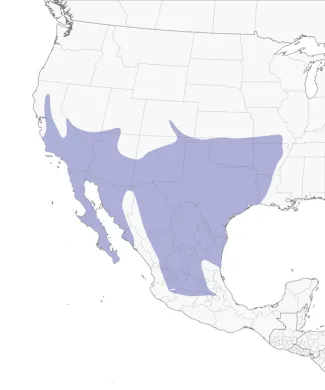 A map showing the distribution of the greater roadrunner which covers the arid and semi-arid Southwest US (California, Arizona, Texas, New Mexico, Nevada, Utah, Colorado, Oklahoma, Kansas) and extends into northern Mexico, also touching parts of Arkansas and Louisiana.
