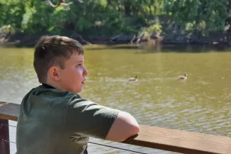 Henderson looking out for birds