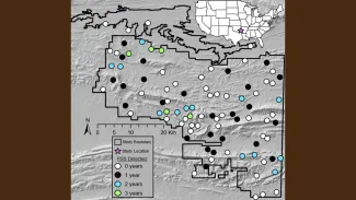 Plains spotted skunks were detected at 44 of the 91 survey sites on the Ouachita National Forest – Oklahoma Ranger District and nearby Wister Wildlife Management Area. Detections occurred across the study area, and some camera traps had positive detections in each of the three survey years. 