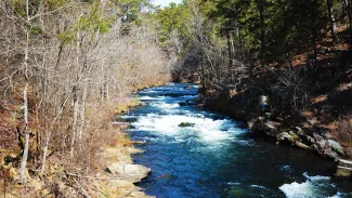 A photo of Spillway Creek. The water is swift and blue, some of the shrubbery along the sides are bare due to it being fall or winter.