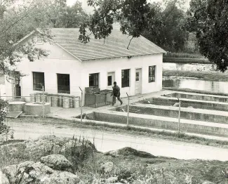 A black and white photo of a Wildlife Department employee walking outside of the fish hatchery. 