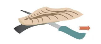 An illustration of step 9 of filleting a fish where the knife is being sawed against the fish skin.