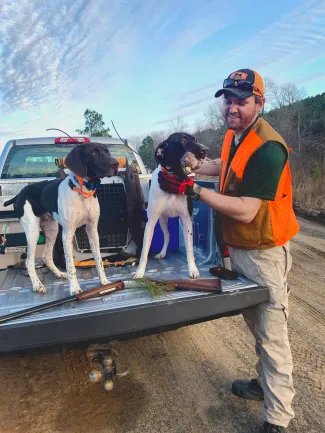 2 hunting dogs in bed of truck with one having a quail in its mouth and getting pet by male hunter