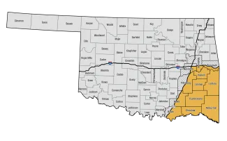 A map of Oklahoma counties where the yellow areas in the southeast are open for bear hunting.