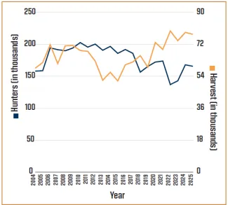 Dual-axis line graph, 'Gun Hunters and Harvest 2004-Current.' Hunters (left axis, thousands) rise from about 155,000 in 2004 to near 200,000 by 2010, stay in the 180,000-200,000 range through 2018, dip to a low near 135,000 in 2022, then recover to about 165,000 by 2025. Harvest (right axis, thousands) climbs from about 58 in 2004 to a peak near 72 in 2009, dips to around 54 in 2014-2015, then rises overall to a high near 79 in 2023, ending around 78 in 2025.