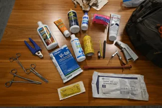 Dog Safety Kit