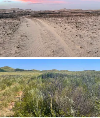 before and after wildfire