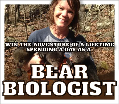 Bear Biologist For A Day