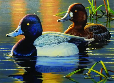 2024 Waterfowl Stamp Entry #12