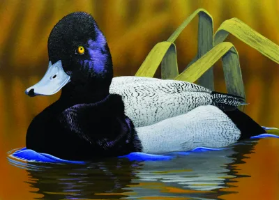 2024 Waterfowl Stamp Entry #14