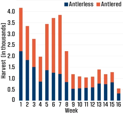 Figure 5 represents archery harvest by week.