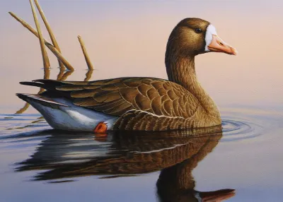 Entry 1 of the 2027 Waterfowl Stamp Competition