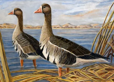 2027 Waterfowl Stamp Entry #3