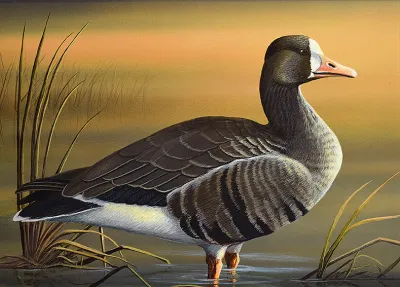 2027 Waterfowl Stamp Entry #5