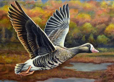 2027 Waterfowl Stamp Entry #7