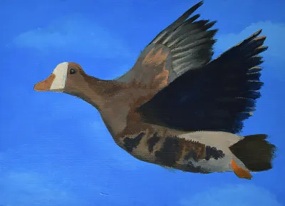 2027 Waterfowl Stamp Entry #9