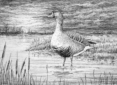 2027 Waterfowl Stamp Entry #10