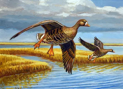 2027 Waterfowl Stamp Entry #11