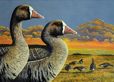 2027 Waterfowl Stamp Entry #16