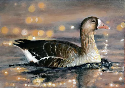 2027 Waterfowl Stamp Entry #20