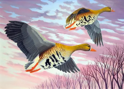 2027 Waterfowl Stamp Entry #21