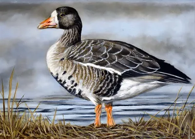 2027 Waterfowl Stamp Entry #22