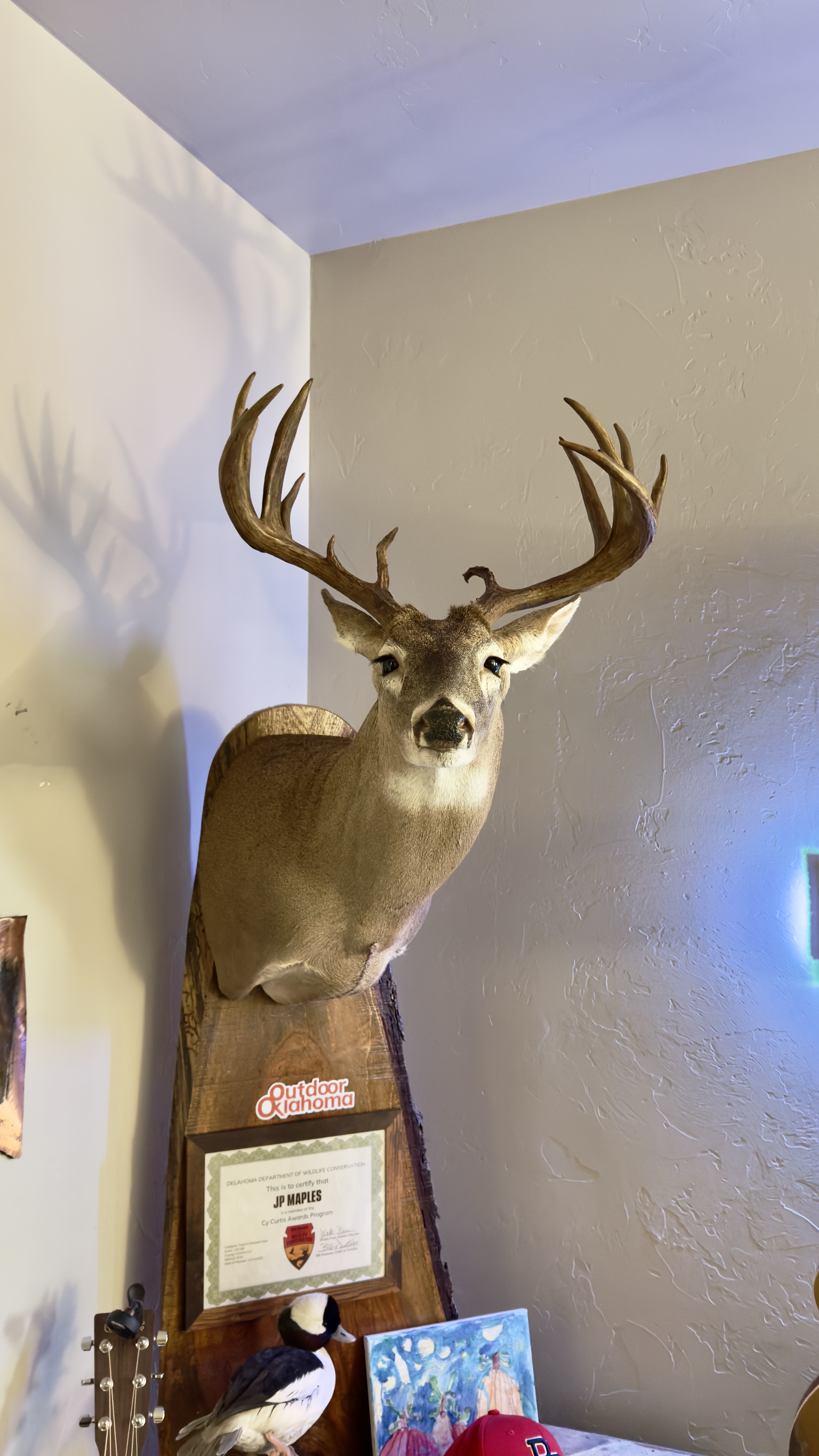 Non-Typical Whitetail Deer Joe Scifres