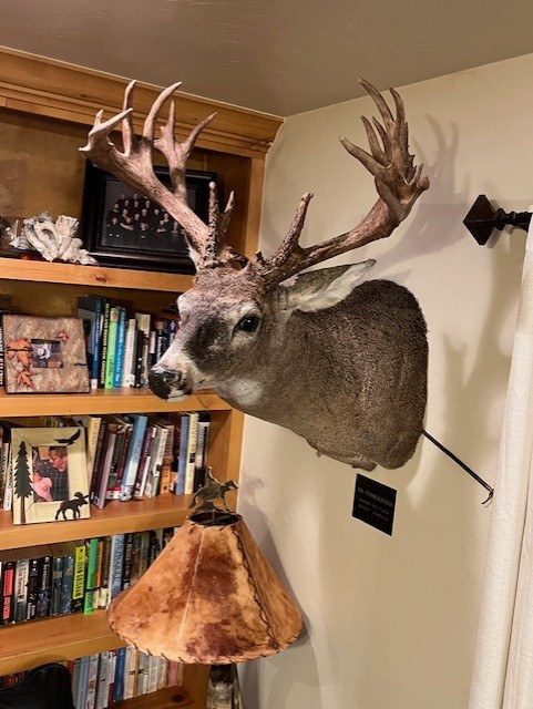 Non-Typical Whitetail Deer TROY HEHENBERGER 