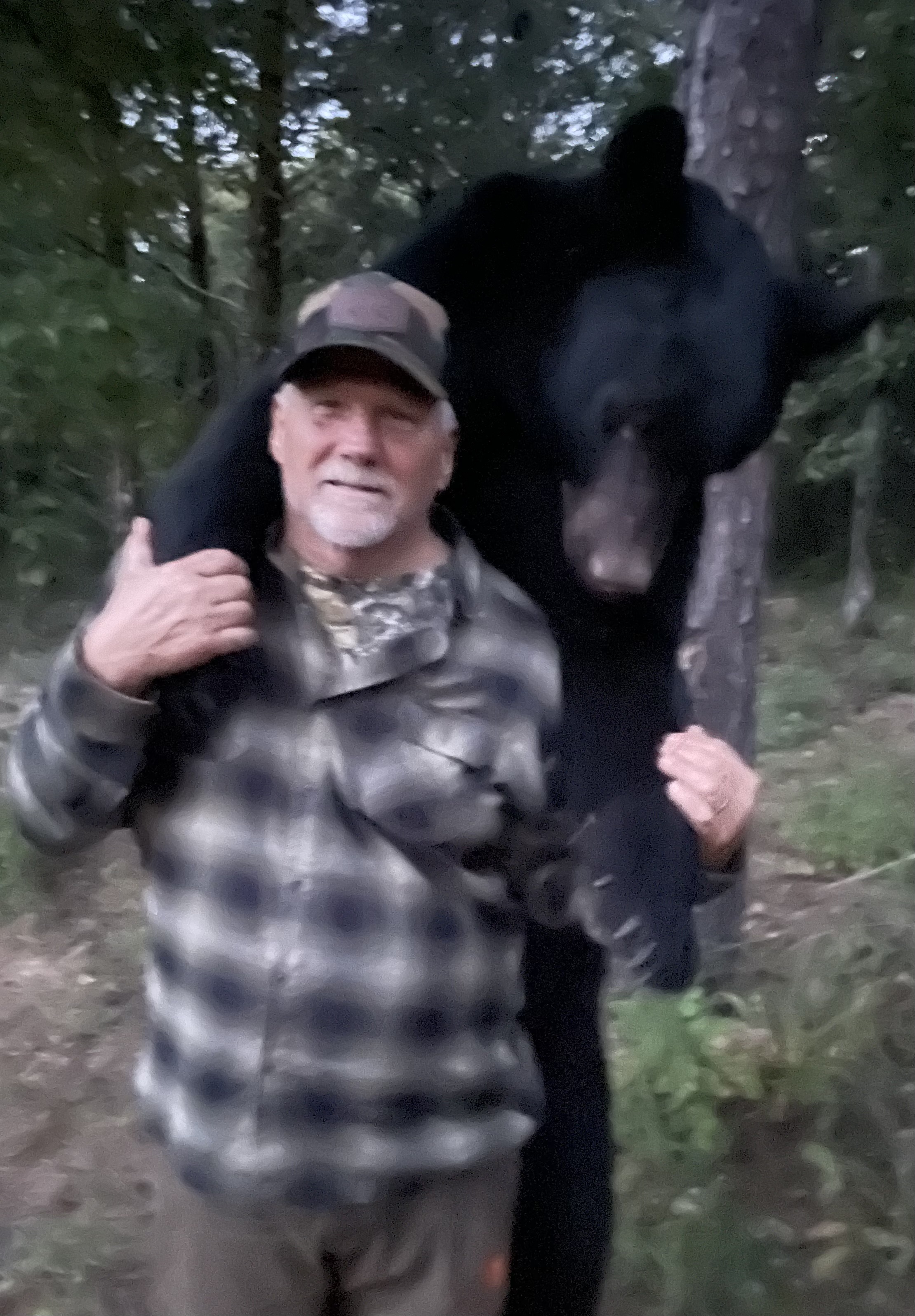 Bear Bruce Prier 